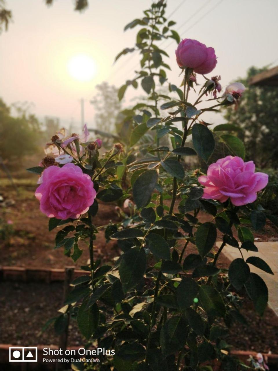 Shree Samarth Farmhouse Муруд Экстерьер фото