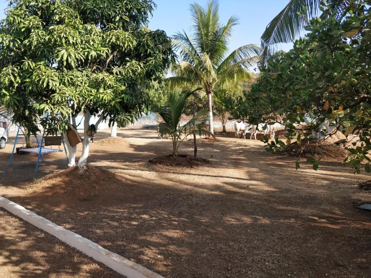 Shree Samarth Farmhouse Муруд Экстерьер фото